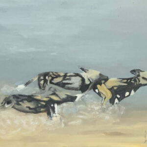 In chase of a changed world