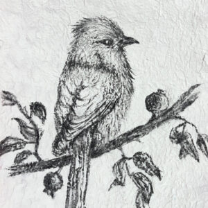 Watching as the world unfolds