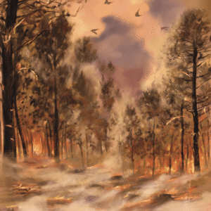 Swallows Over Pedrogao Grande