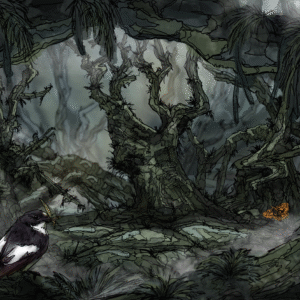 Atlantic rainforest fly catcher