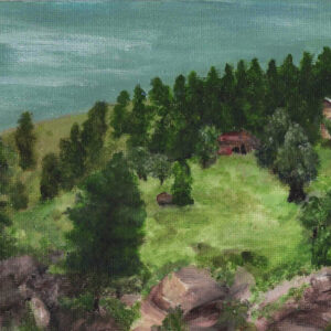 Building on stolen forest land