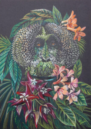 Wild Man of the Sumatran Rainforest