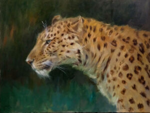 Amur Leopard