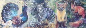 Scottish Species at Risk